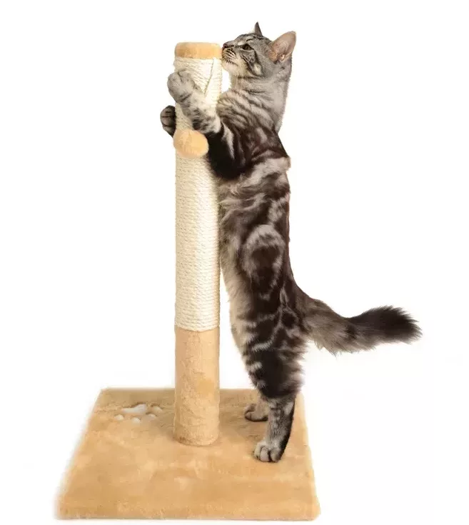 Maine Coon Toys